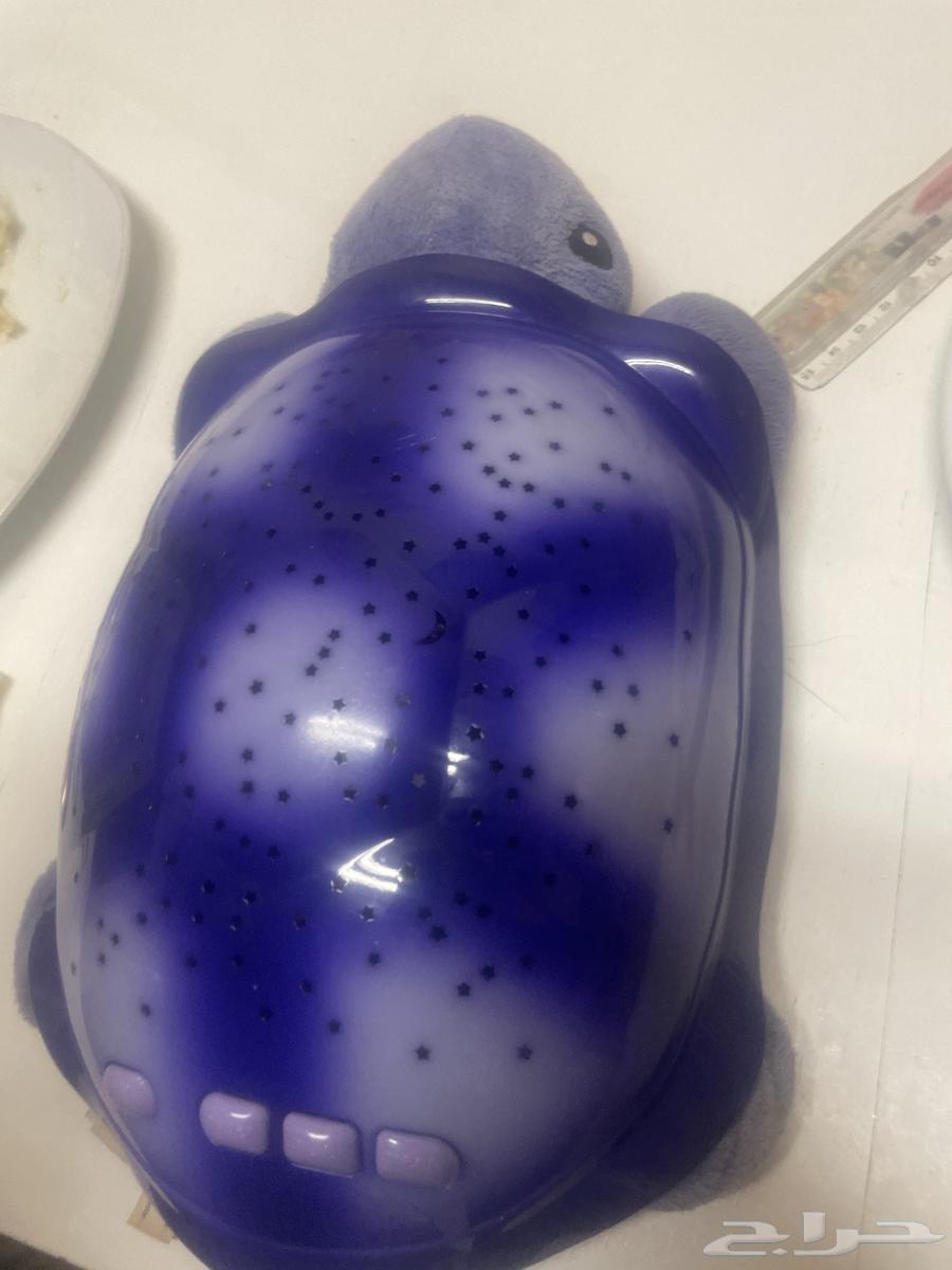 Light Turtle64374979025281110