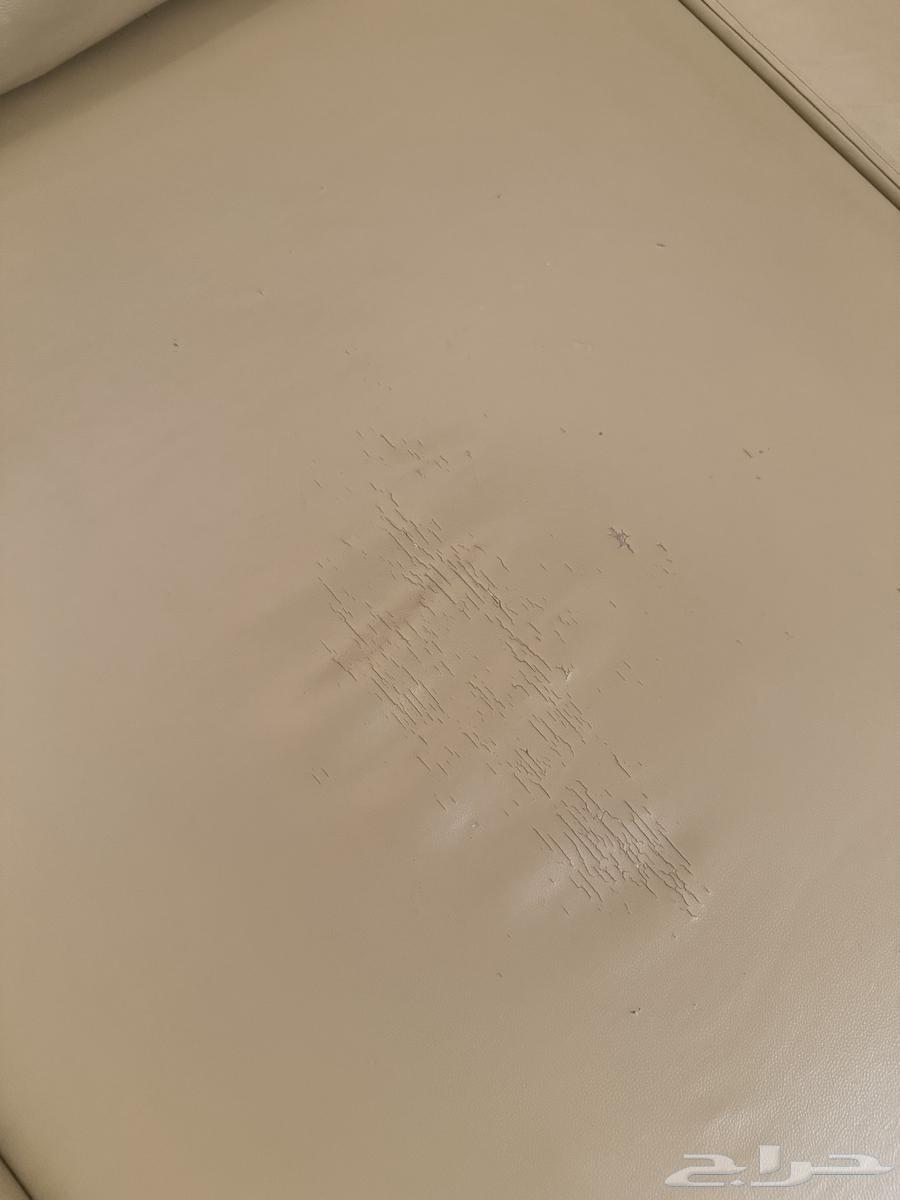 كنب جلد للبيع64363681320322112