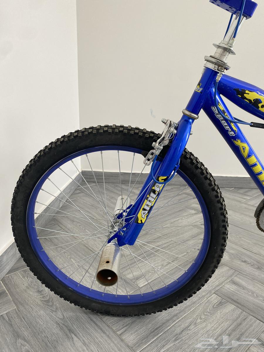 Cobra bicycle size 2464367551954305113