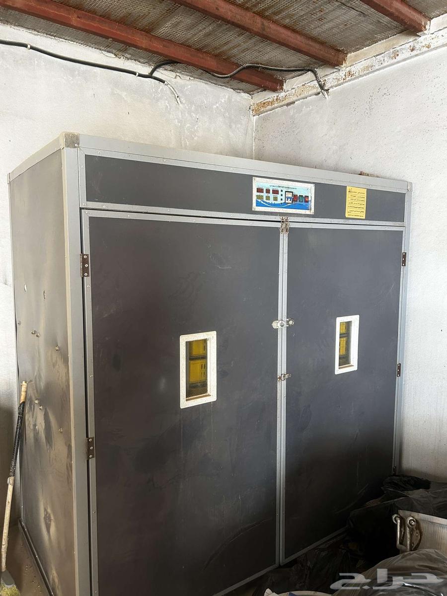 Incubator64376095033859110