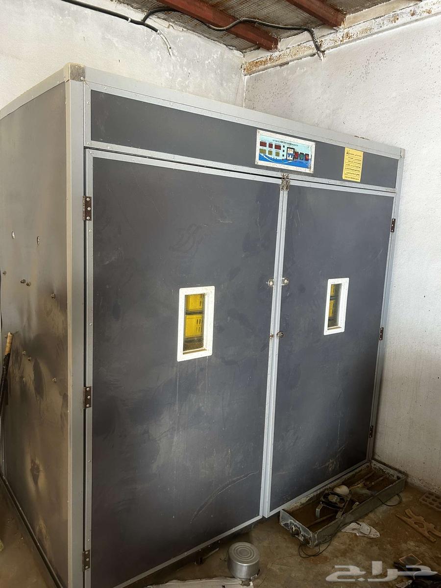 Incubator64376095033859113