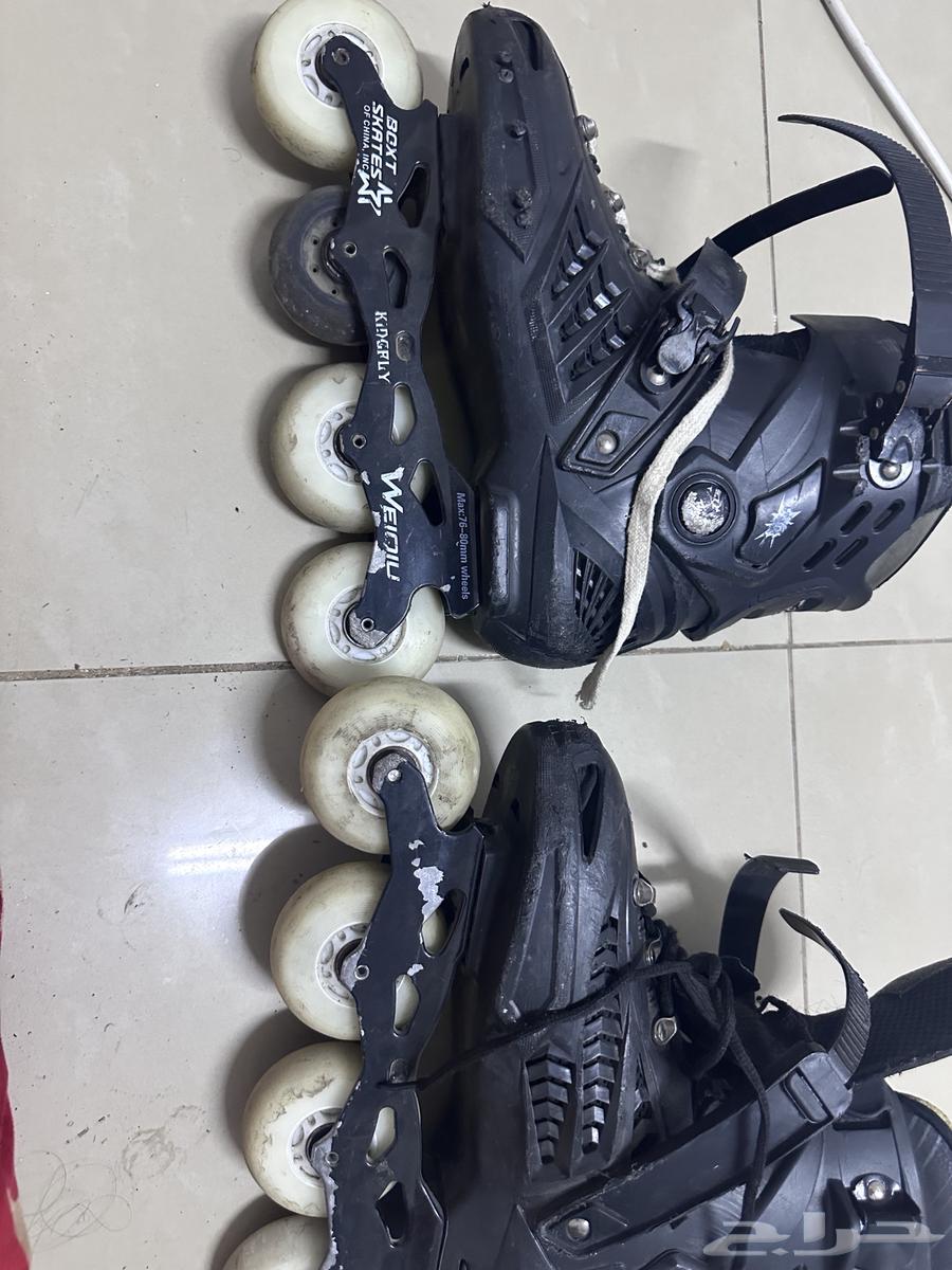 Skate with illuminated fenders64371162251778110