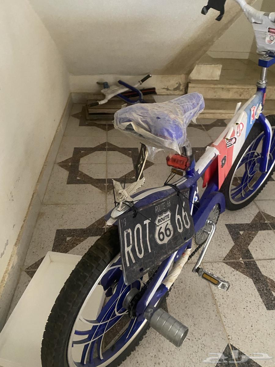 سكيل كوبرا للبيع جديد64370165597826114