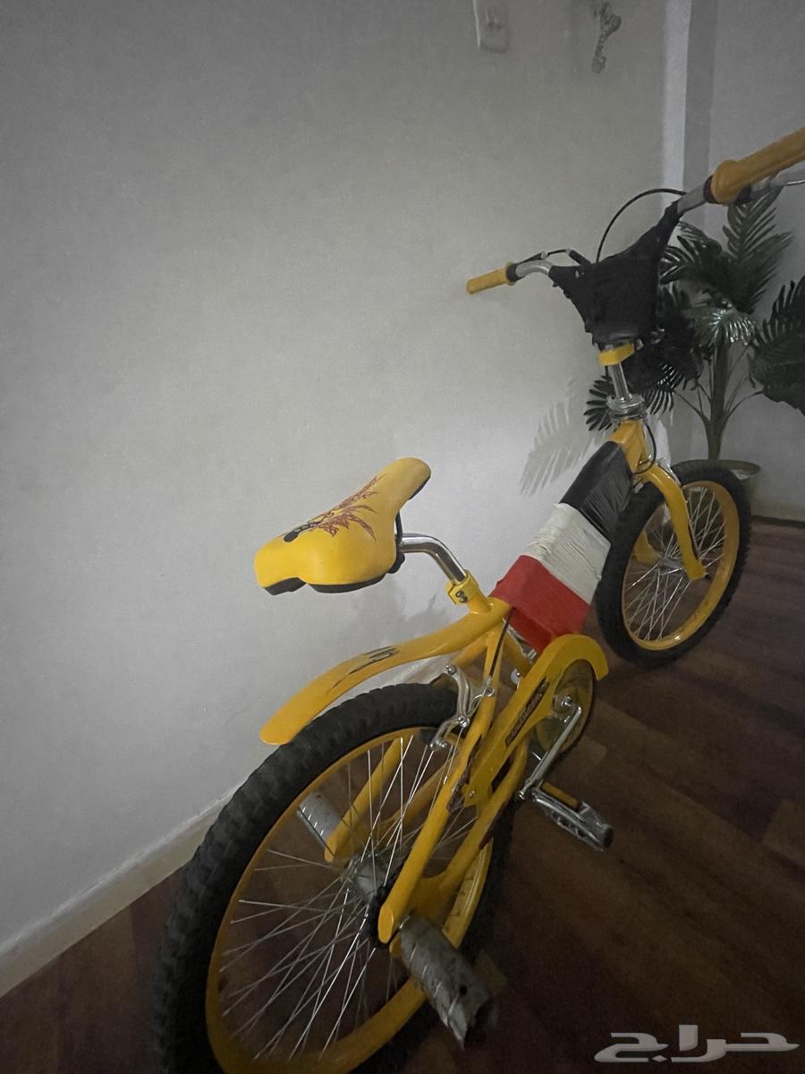 سيكل كبير64373580531459113