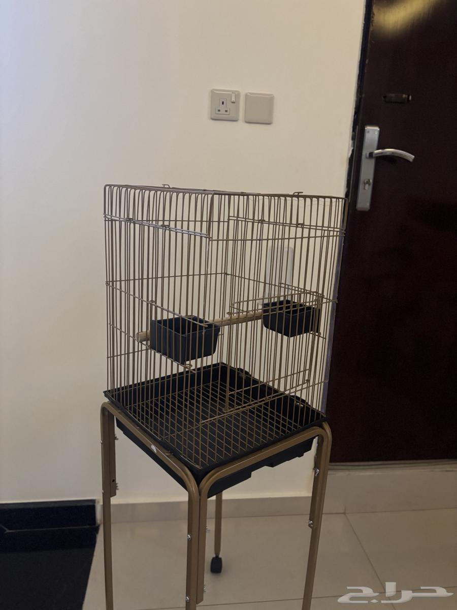 شبك طيور للبيع نظيف64372082284930111