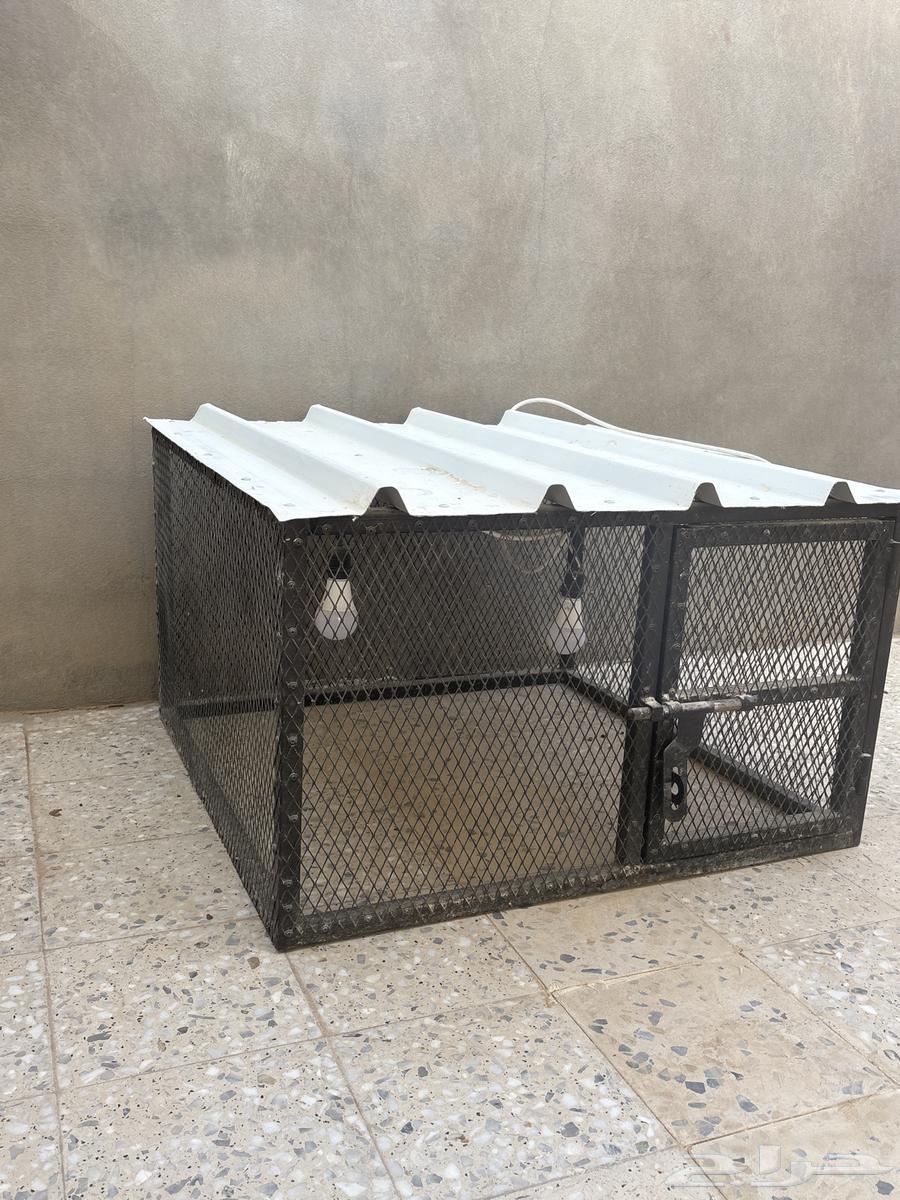 للبيع شبك طيور64370885531265110