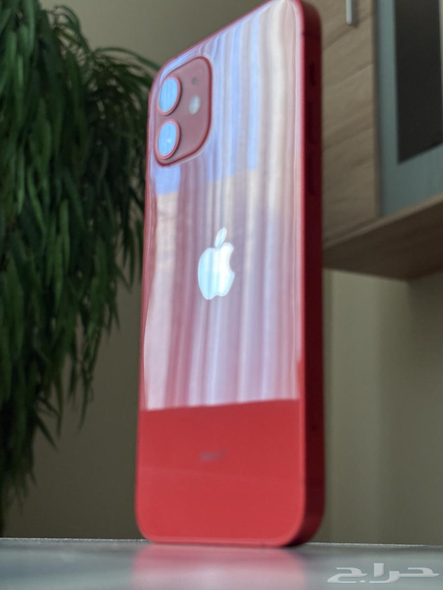 iPhone 12 Regular64367741102593113