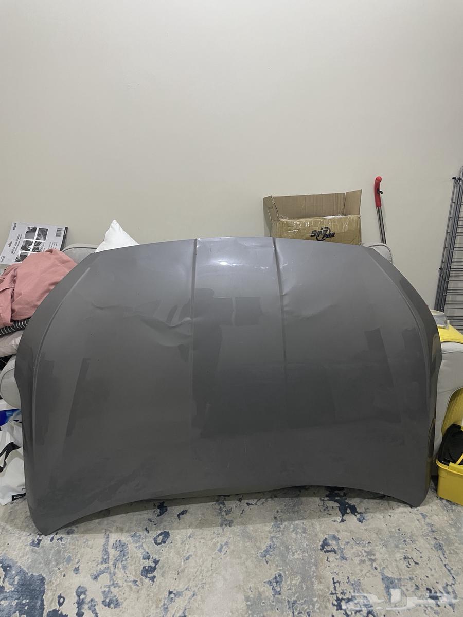 كبوت النترا 2020-2019 اصلي بدون رش64515052958465110