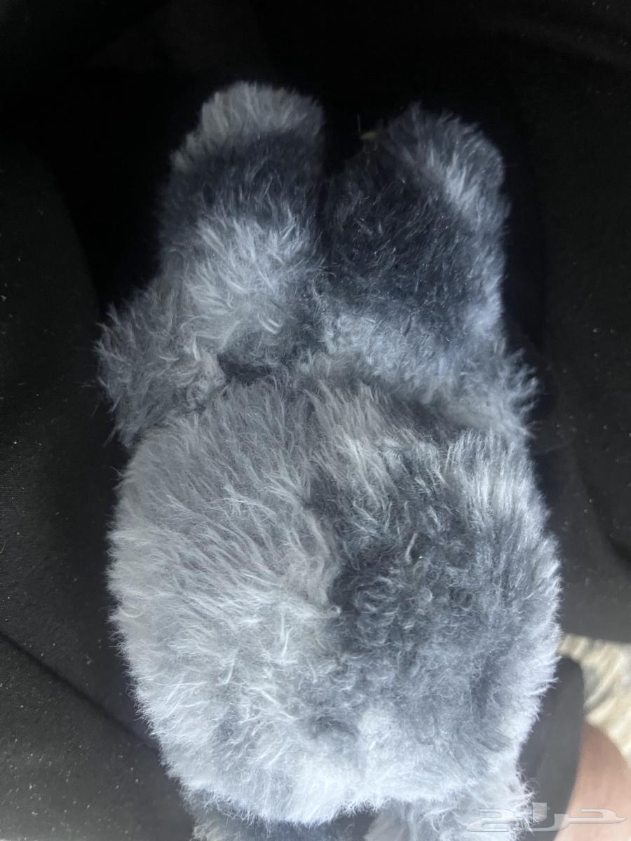 لابوبو64364173160963111