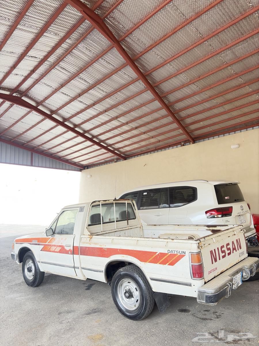 ددسن 85 وكاله شد بلد64519737662851113