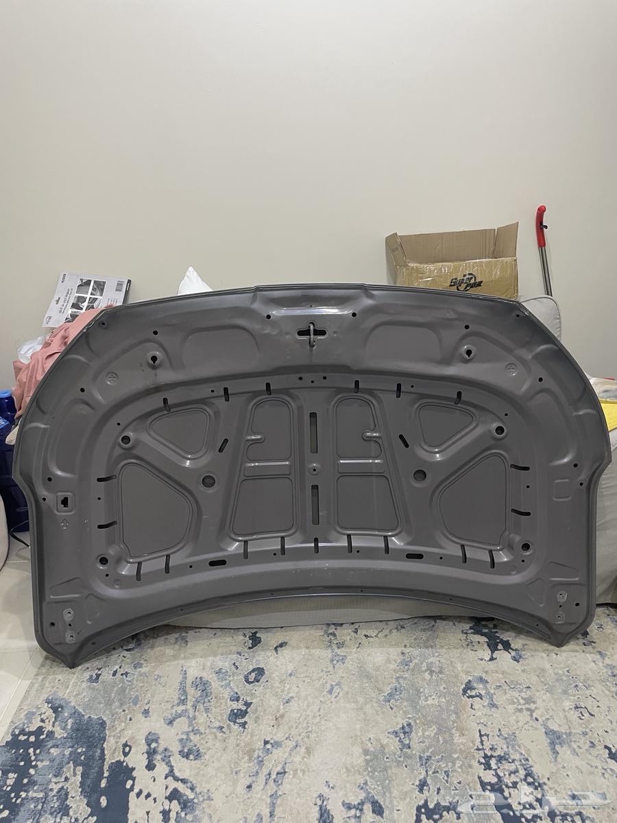 كبوت النترا 2020-2019 اصلي بدون رش64515052958465111