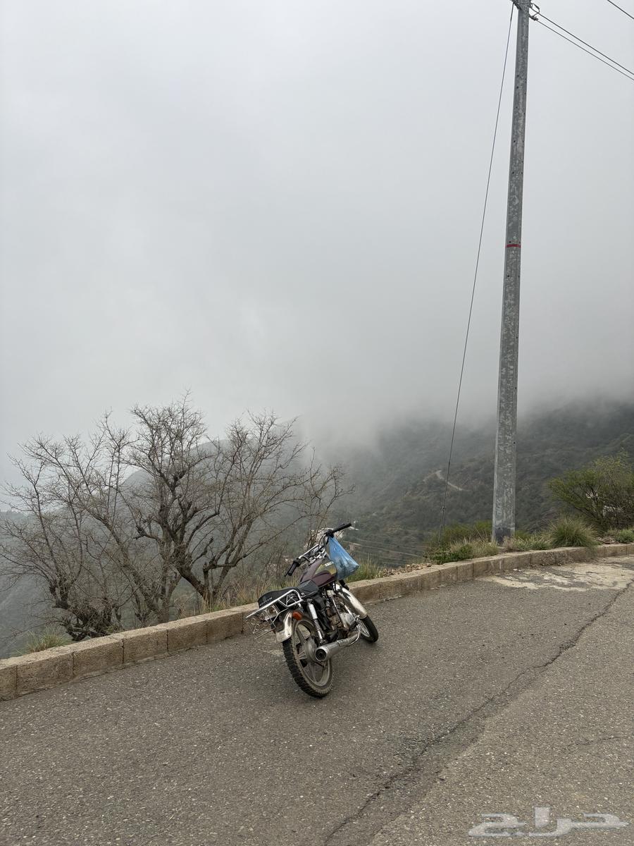 دباب سويدي 125 سي سي64366351759617114