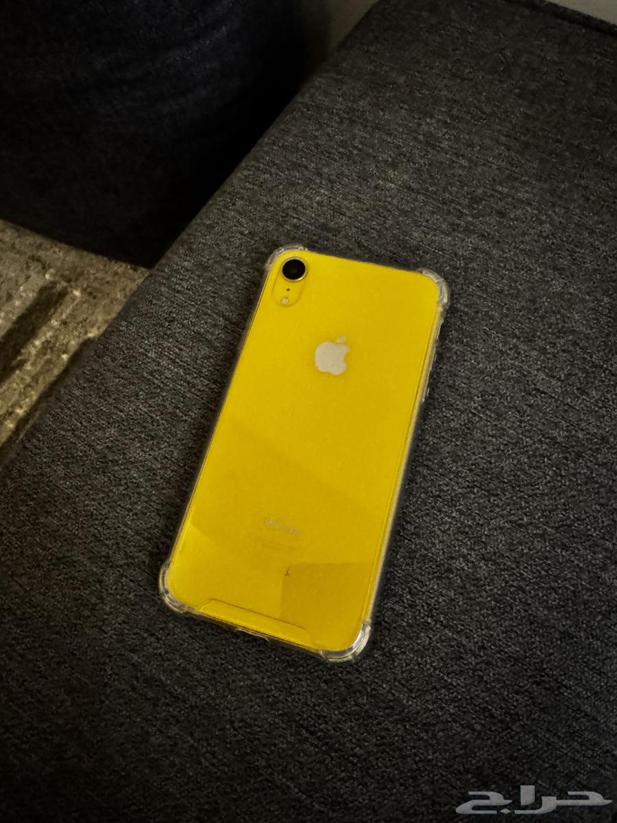 iPhone XR64369226573313110