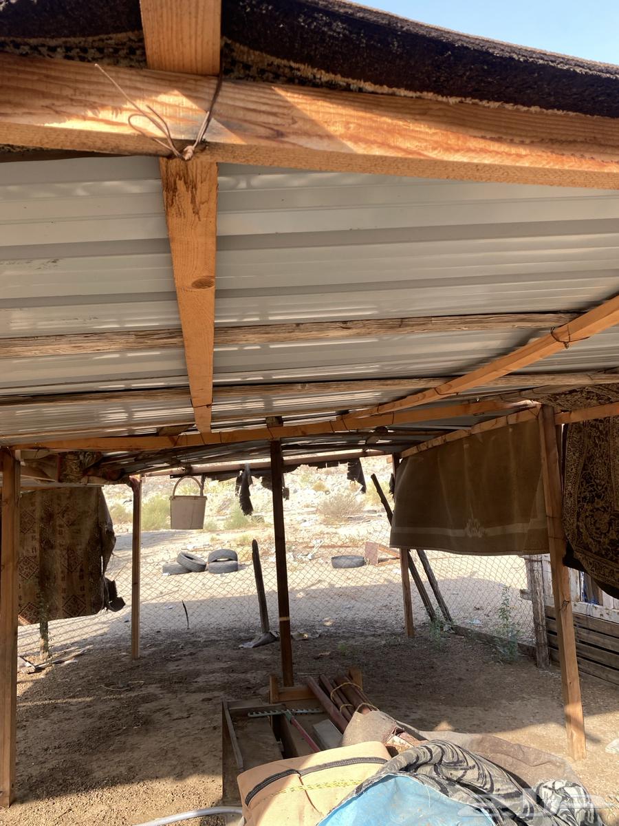 معالف غنم وشبوك بقلاوة64363427992706110