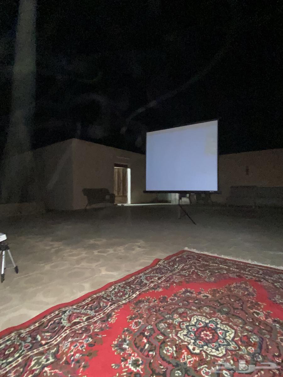 Mini Projector and 180 cm Screen64371496610817112