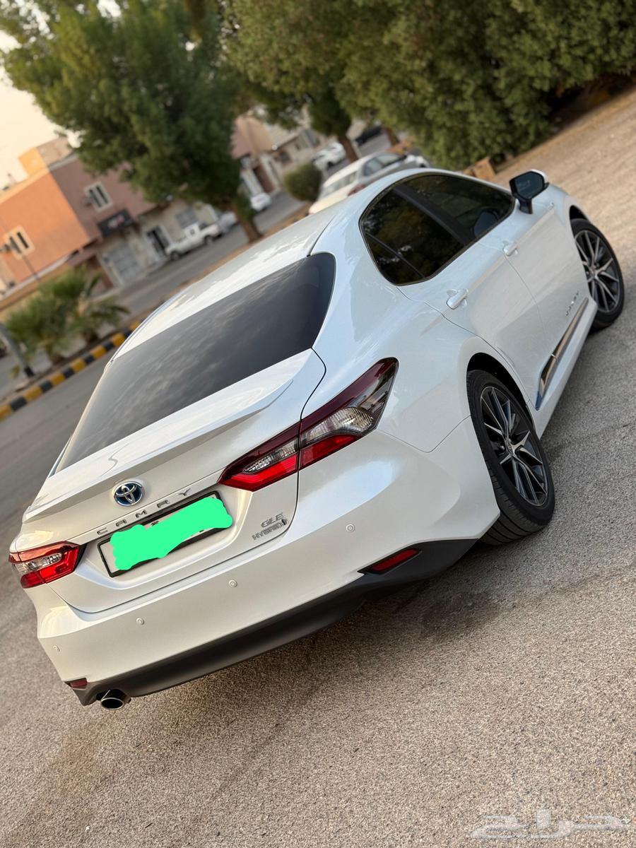 Riyadh64519399075841113