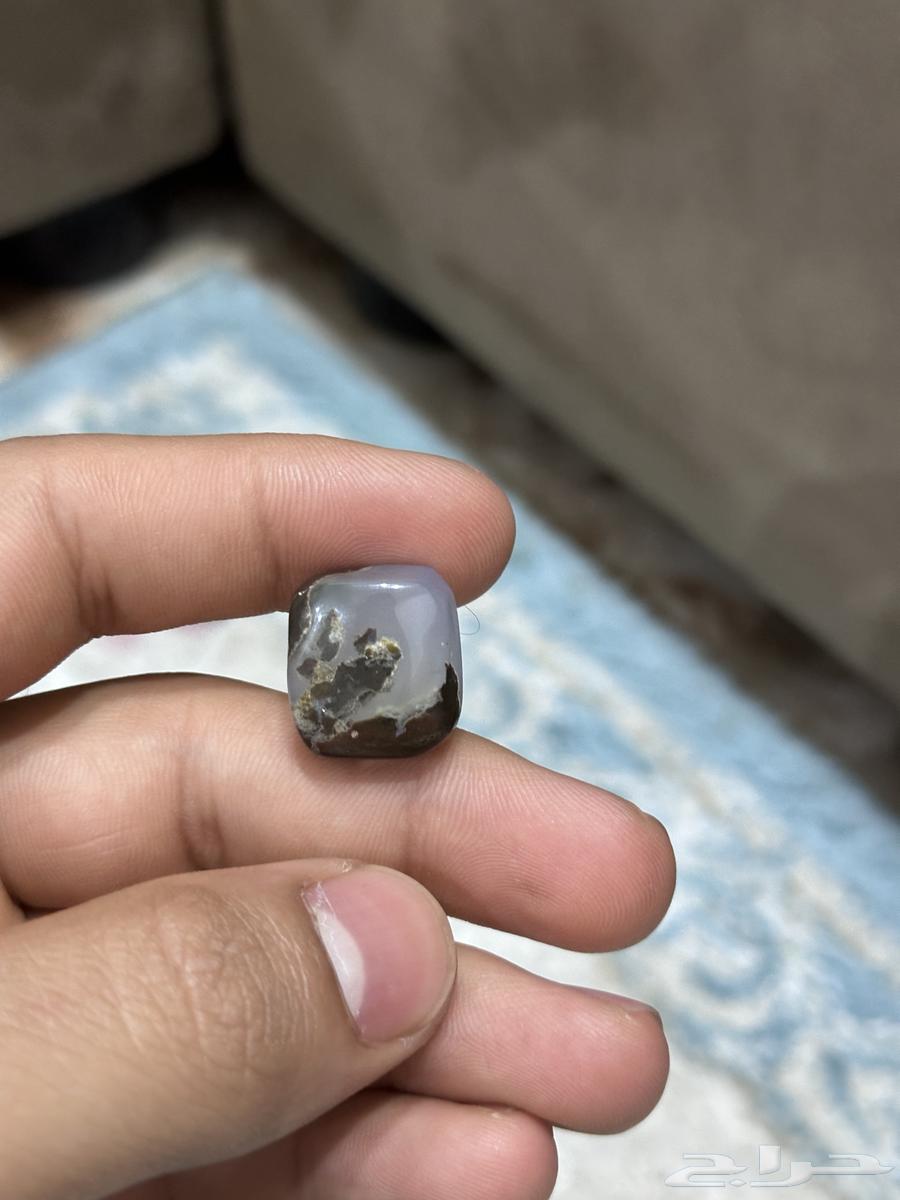 فصوص64369338031362112