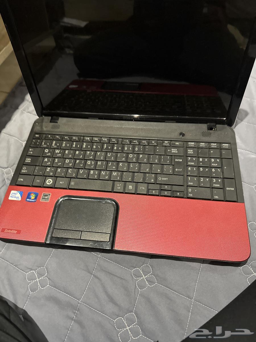 البيع لابتوب تشيبا64373757228418112