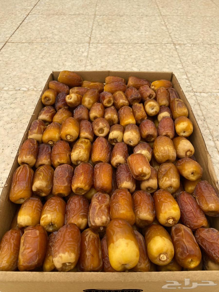 للبيع صقعي فاخر64370215216257112