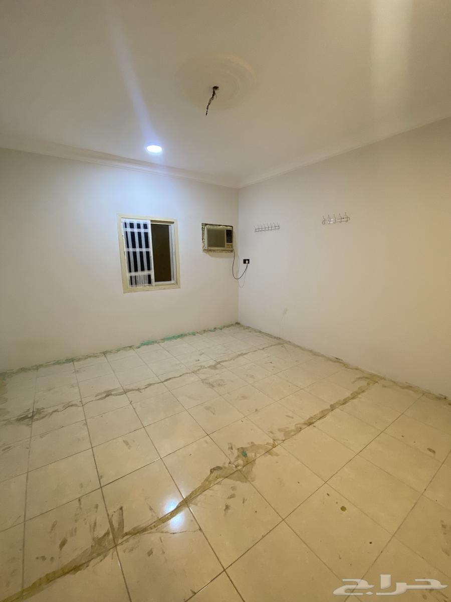 Bachelor apartment for rent in Al-Shoula63613848193155111