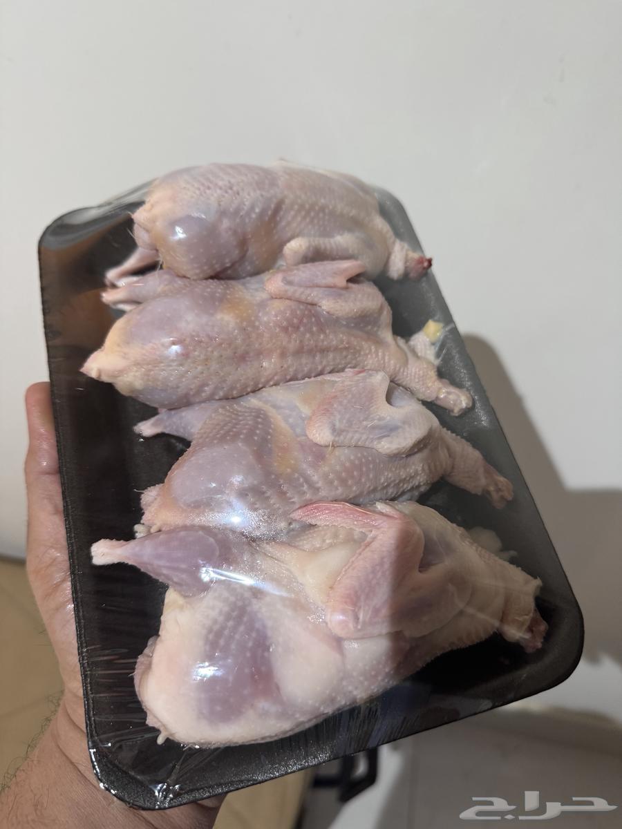 متوفر سمان فري جامبو64375572438145110