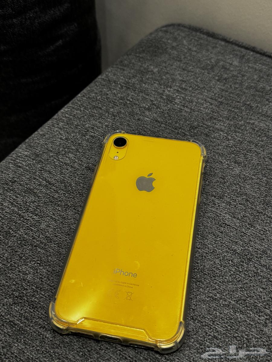 iPhone XR64369226573313112