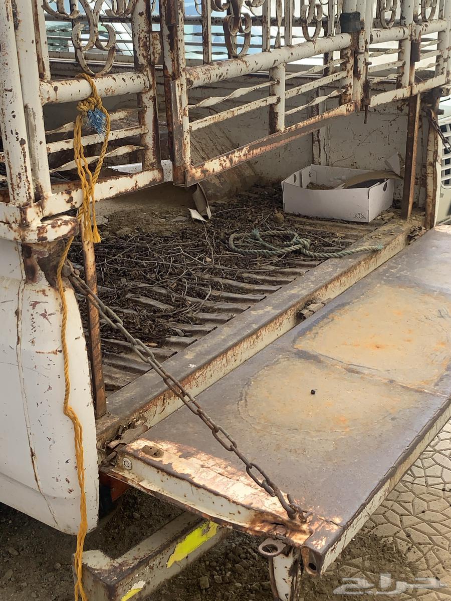 سياره جونيور نيسان غماره خمسة شنكار64512636834050113