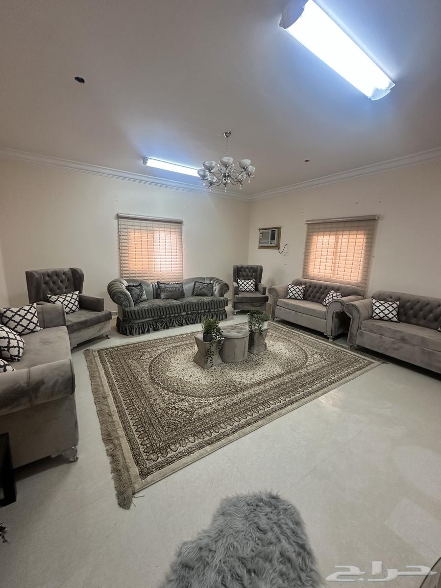 ابها64365586888322113