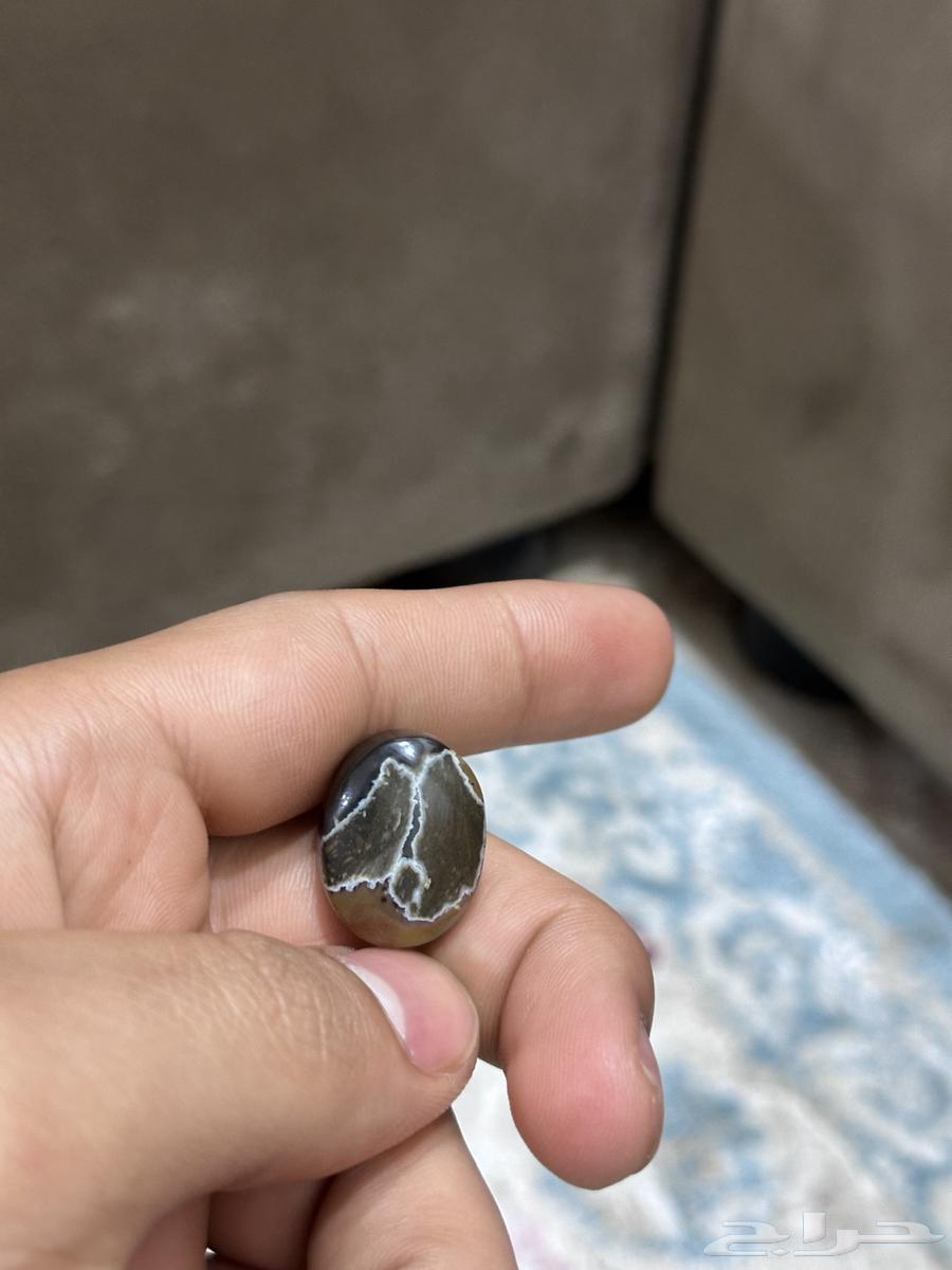 فصوص64369338031362111