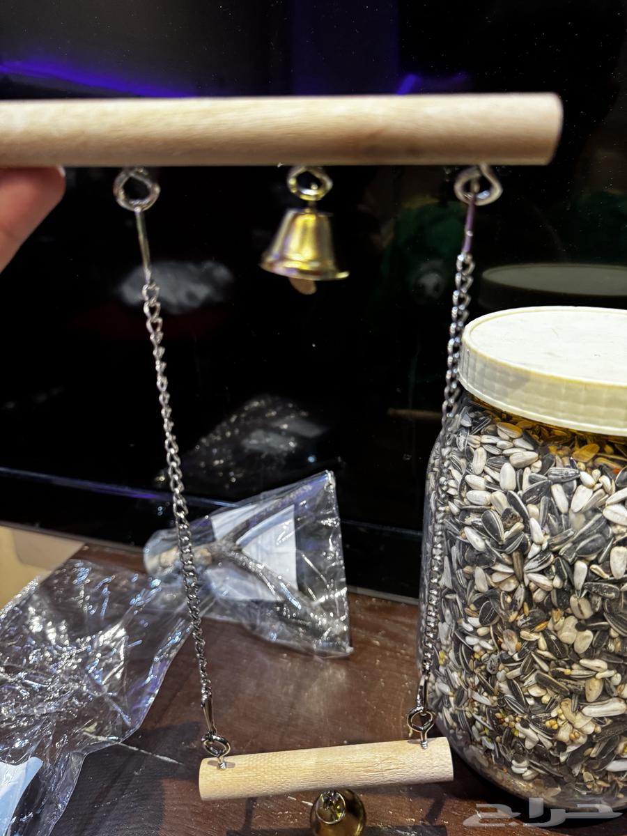 ألعاب طيور64369586249603111