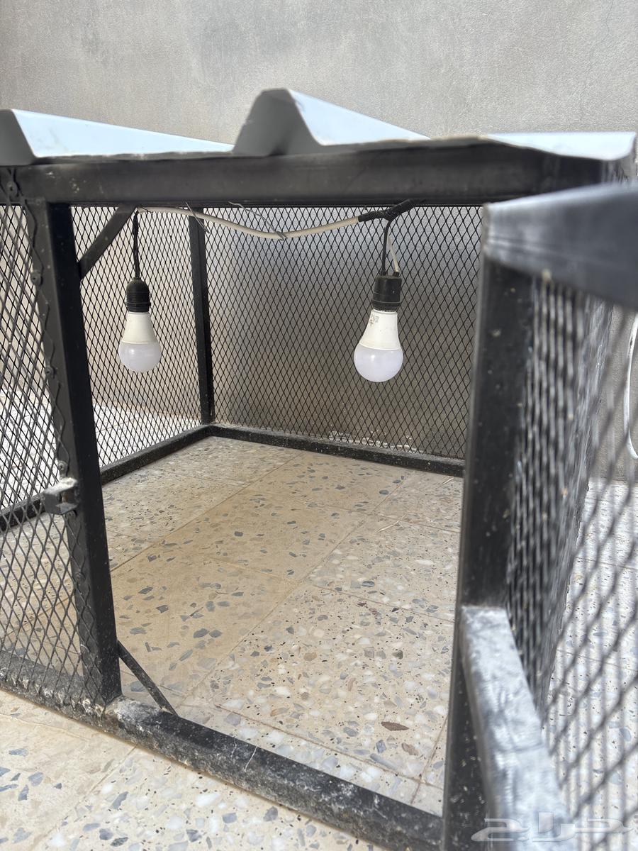 للبيع شبك طيور64370885531265112