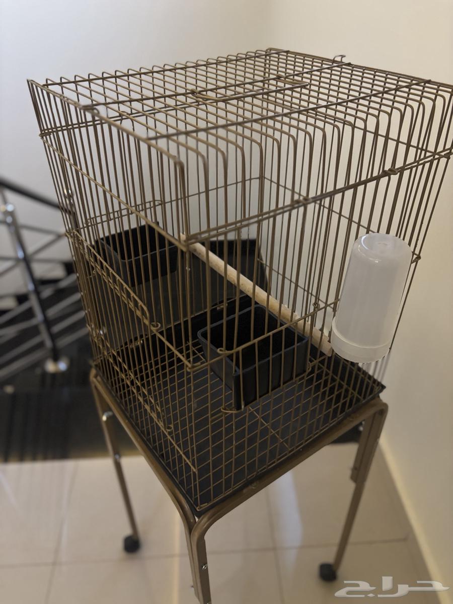 شبك طيور للبيع نظيف64372082284930110