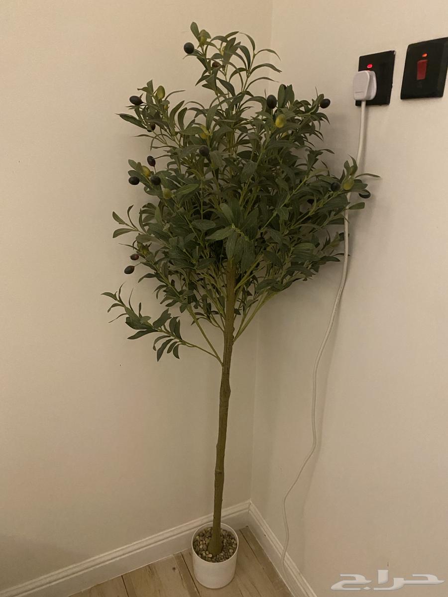 اثاث للبيع64373477599617112