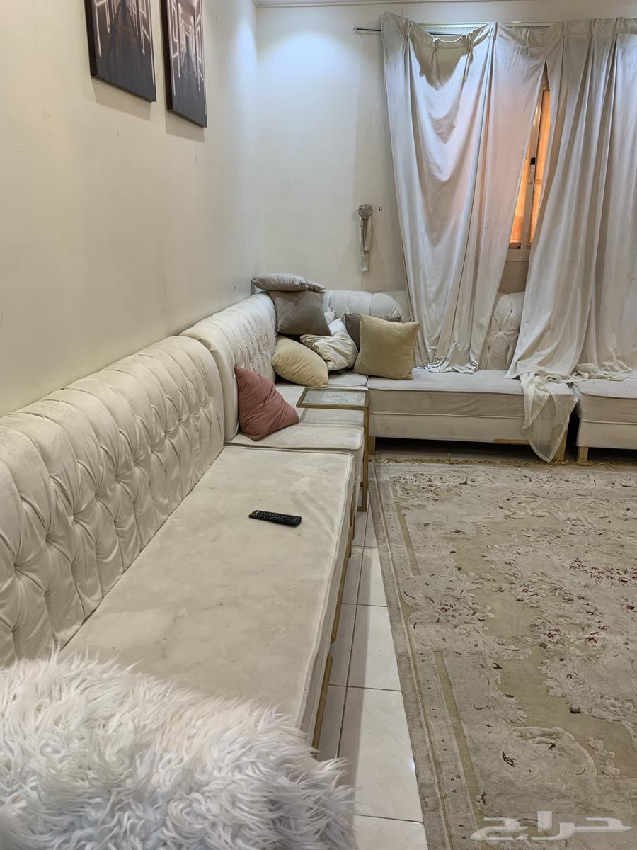 كنب 14 شخص للبيع بسعر رمزي64376930071043112