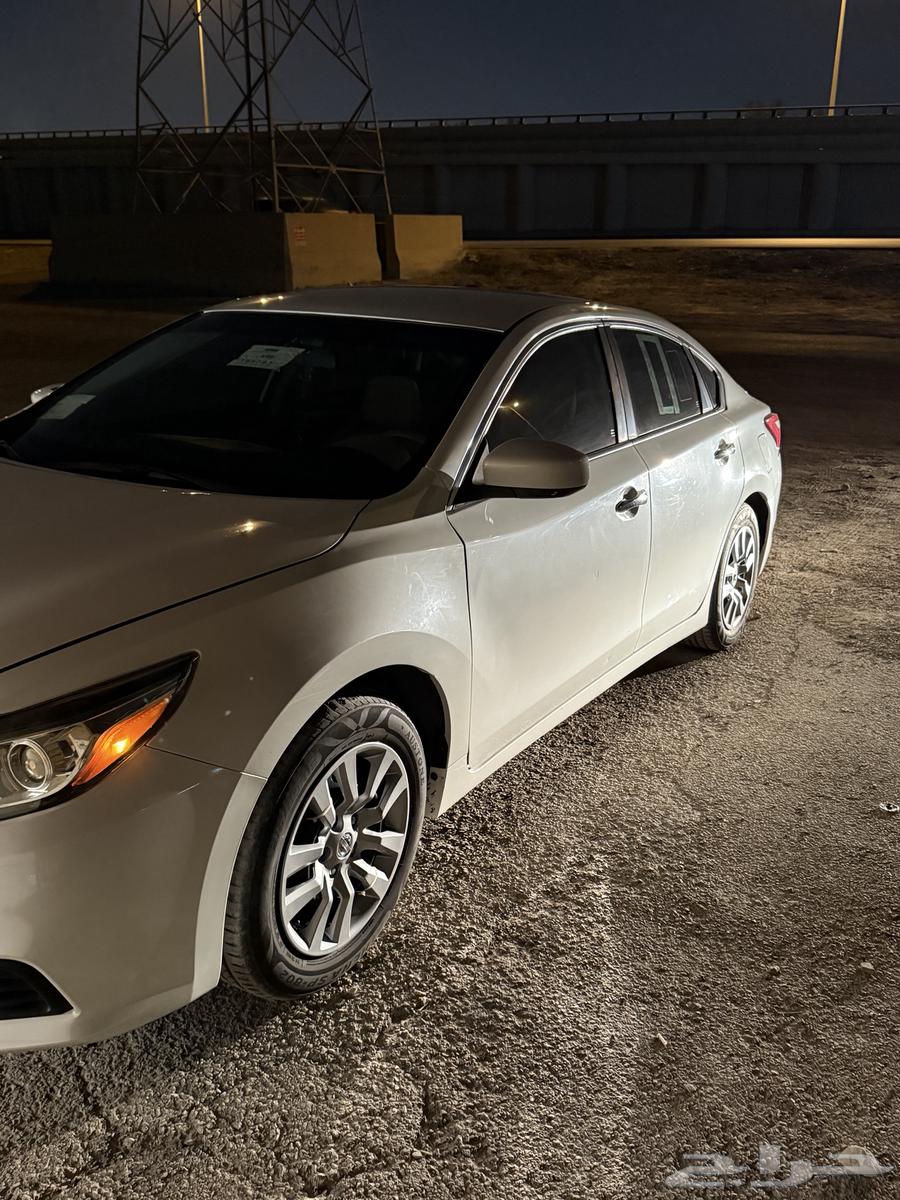 Tema 201764518619313025113