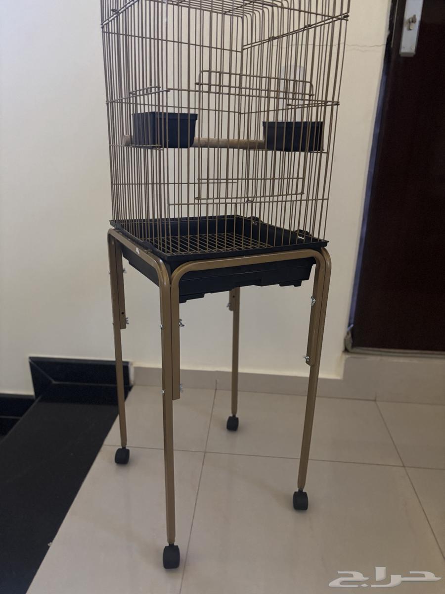 شبك طيور للبيع نظيف64372082284930112