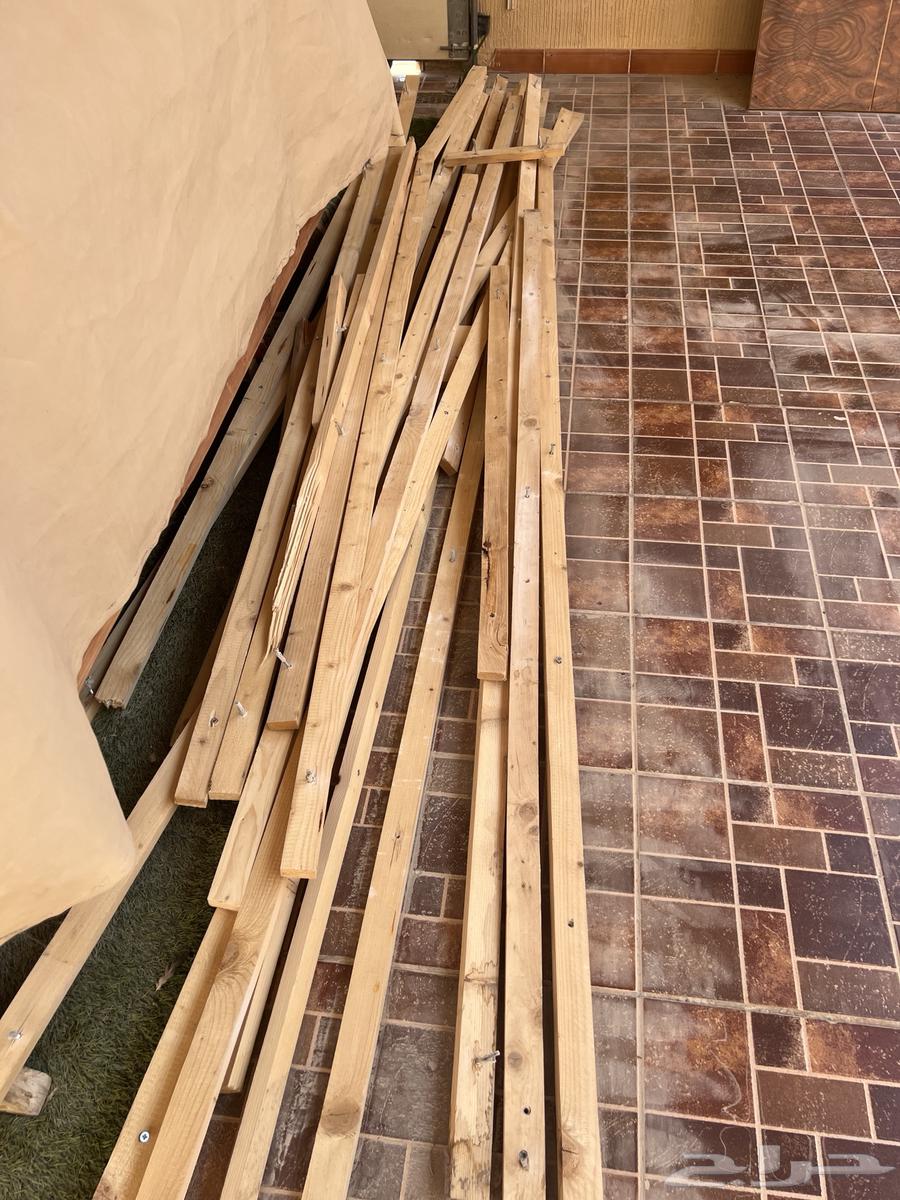 خشب فاخر بحالة سليمة 10064367216615299110