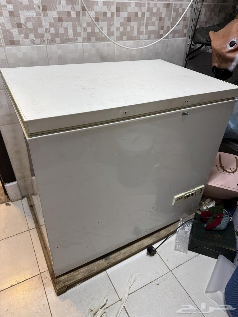 110 Freezer with a Stable Converter64519300050435110