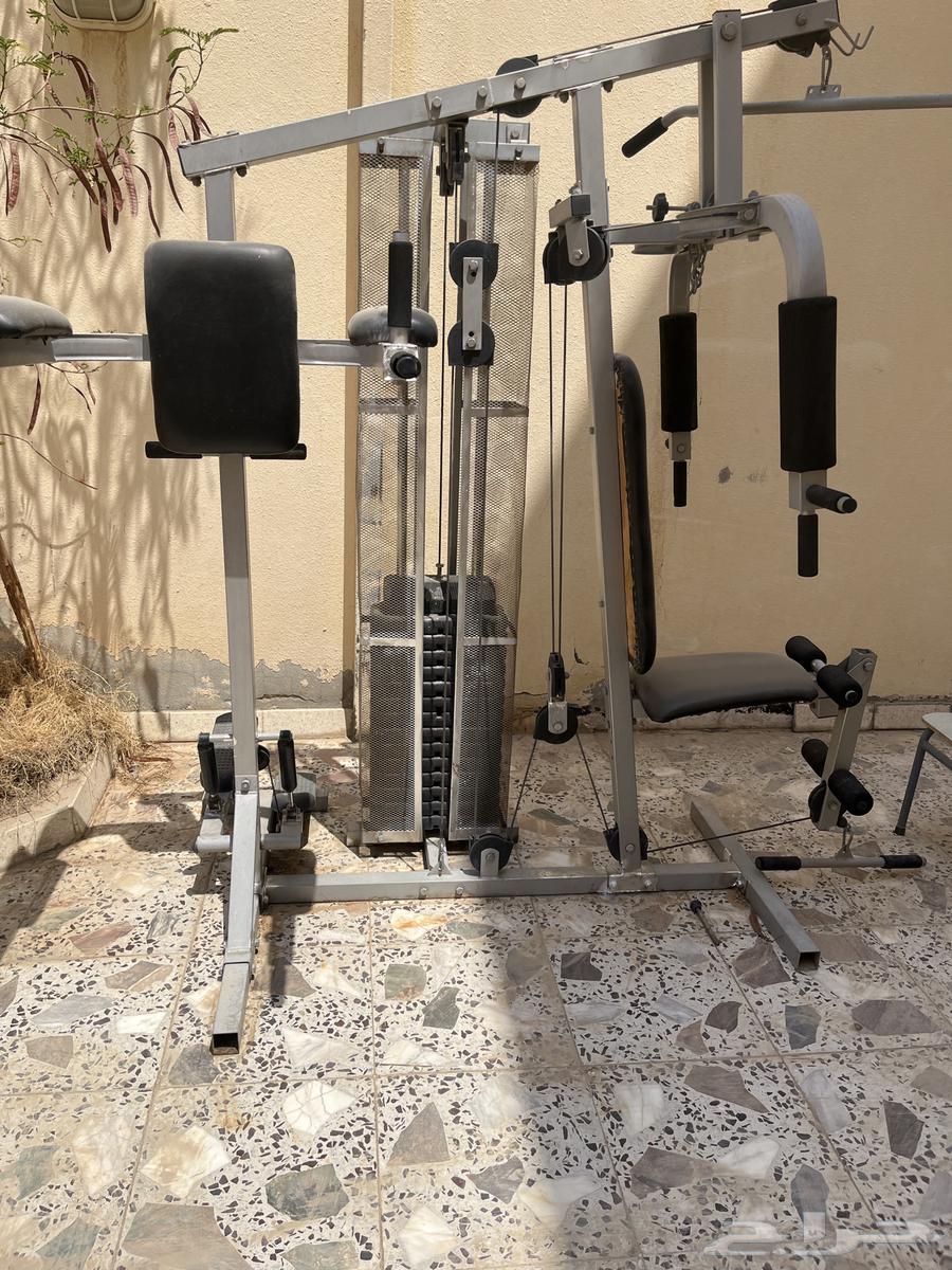 شارع حمل بن مالك64367274382465111