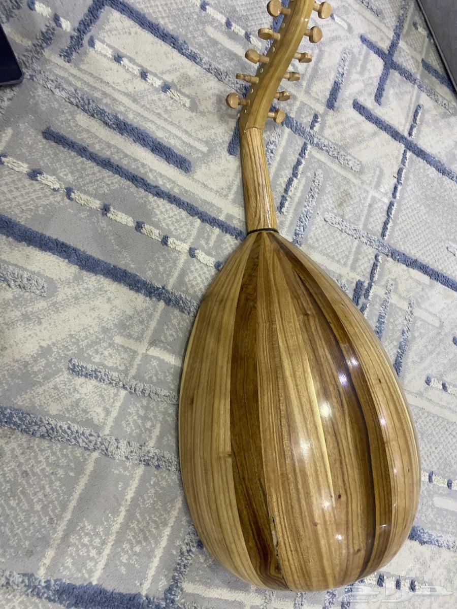 عود مصري للبيع64375572359811111