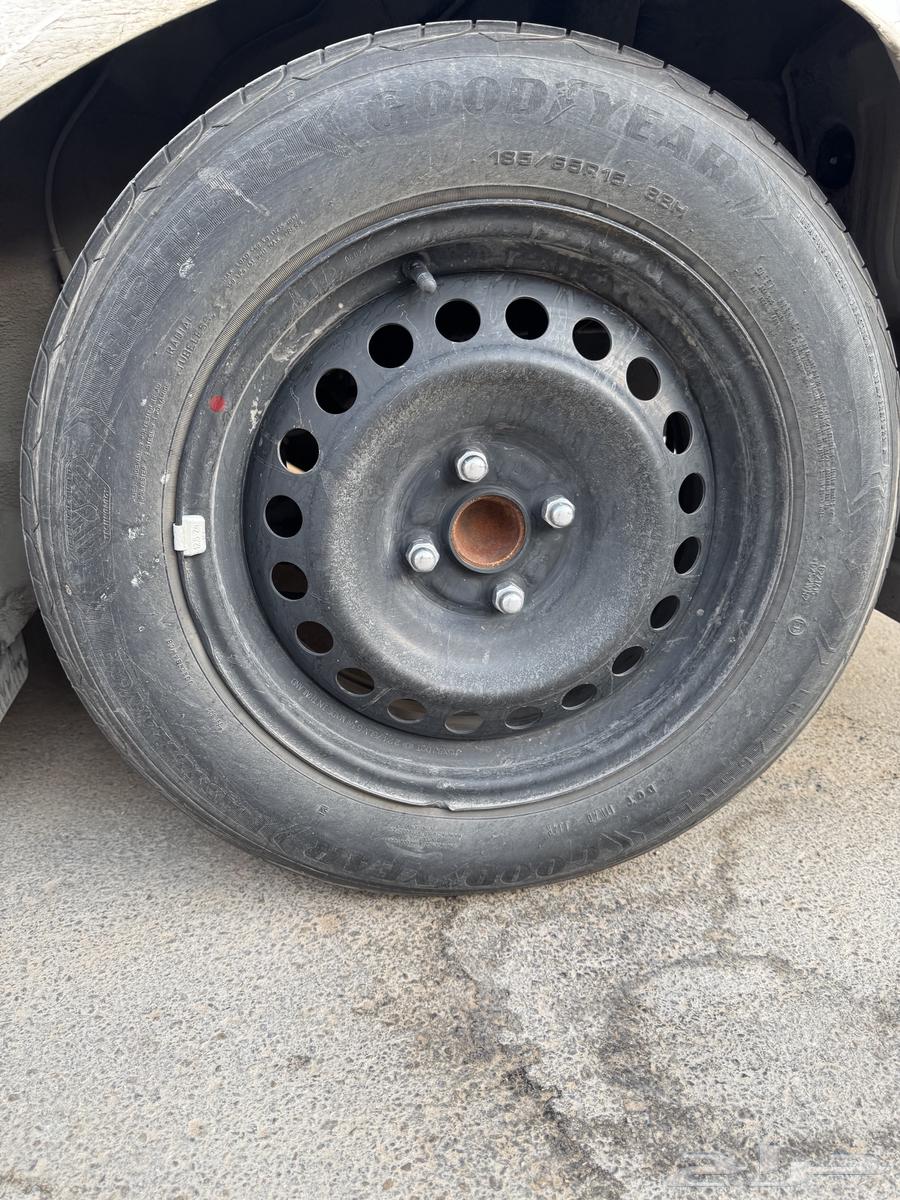 جنوط يارس واكسنت للبيع64514761637890112