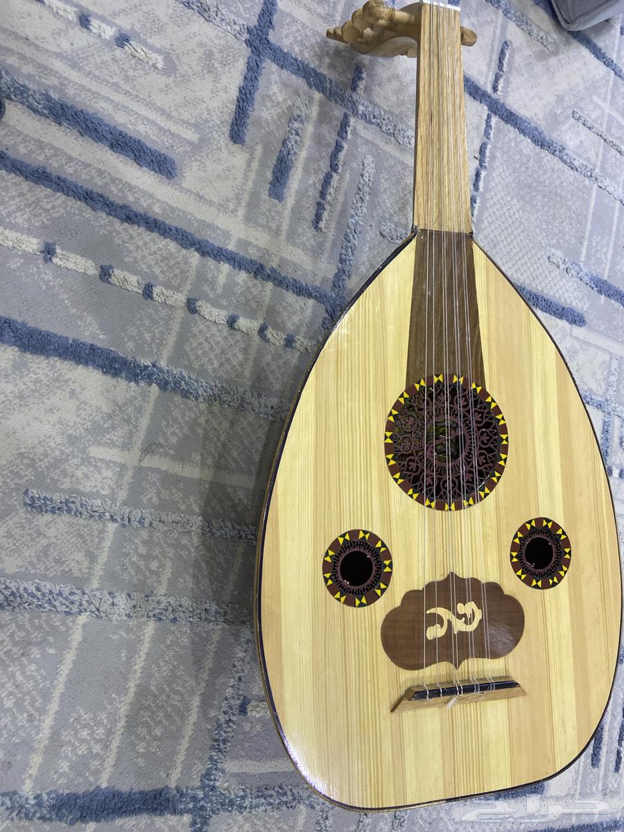 عود مصري للبيع64375572359811110