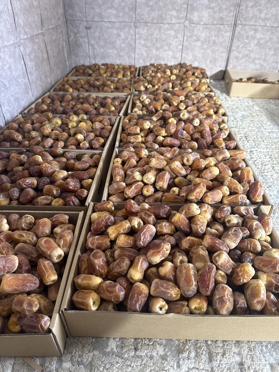 Saqi and Sukkari Dates64365425137155110