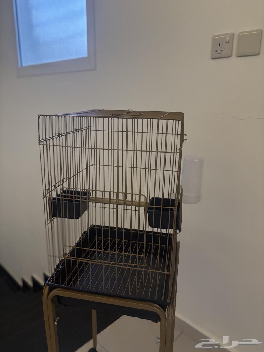 شبك طيور للبيع نظيف64372082284930114