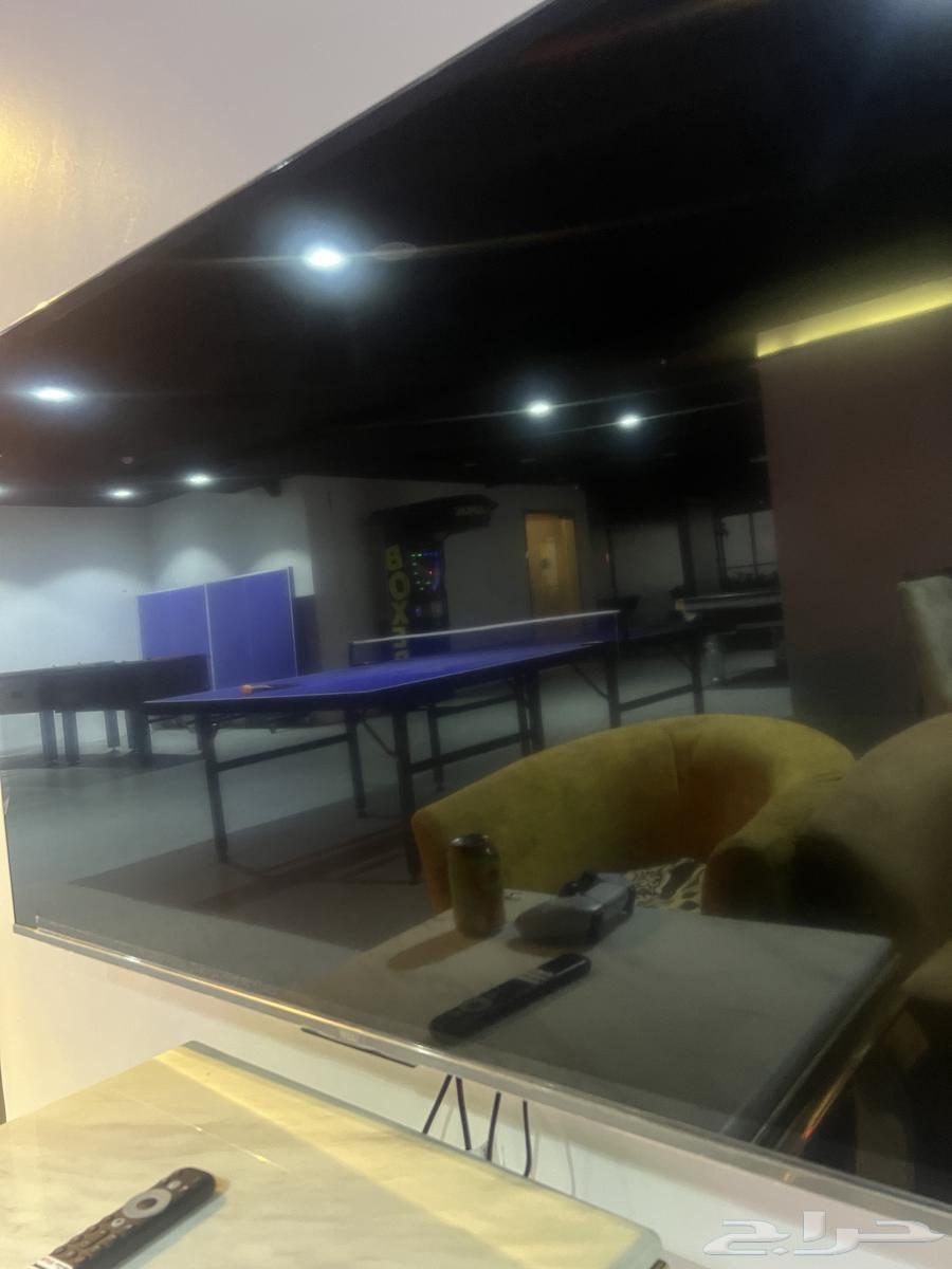 55-inch TCL and IMPEX screens64366395291138113