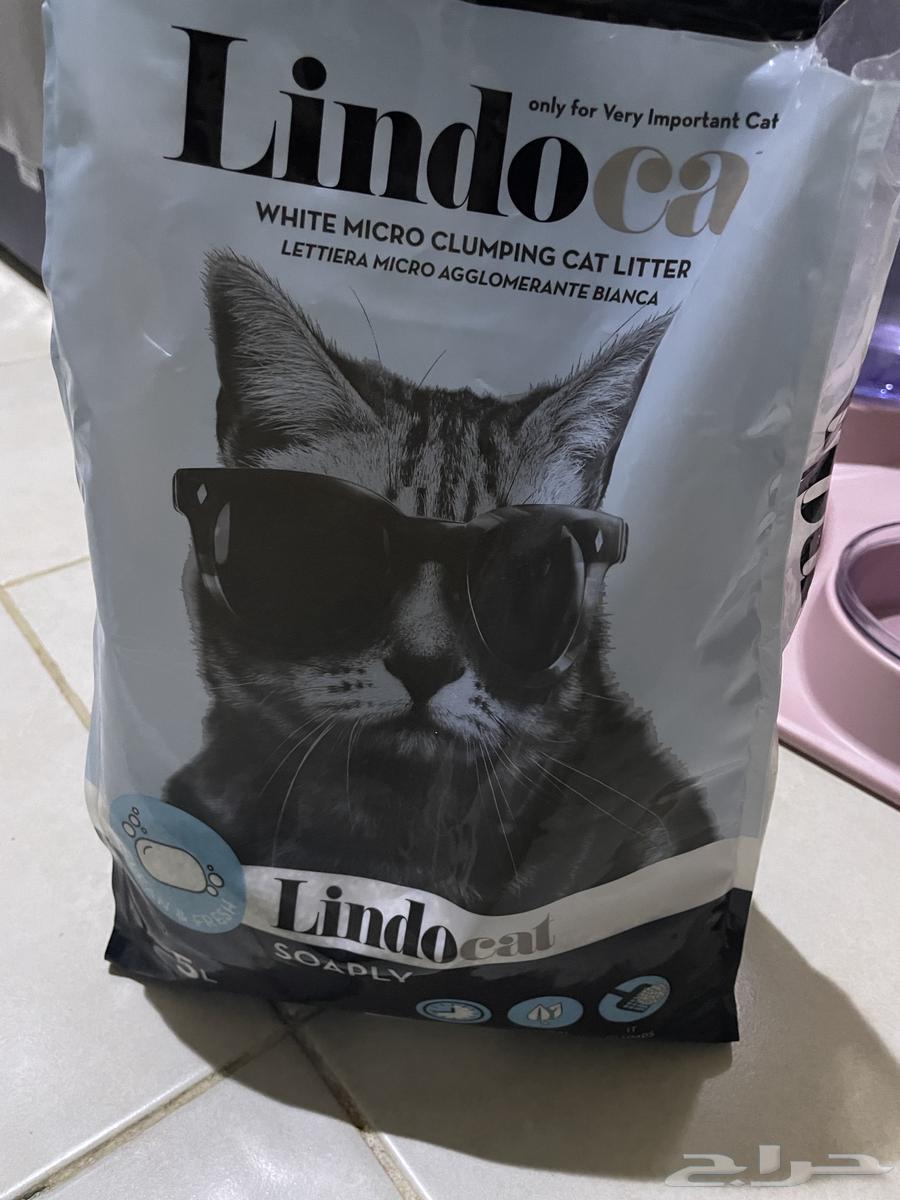 Cat items for single use only64375452818177112