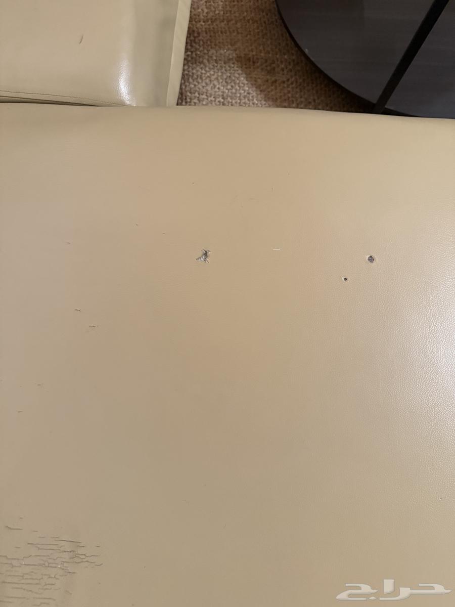 كنب جلد للبيع64363681320322113