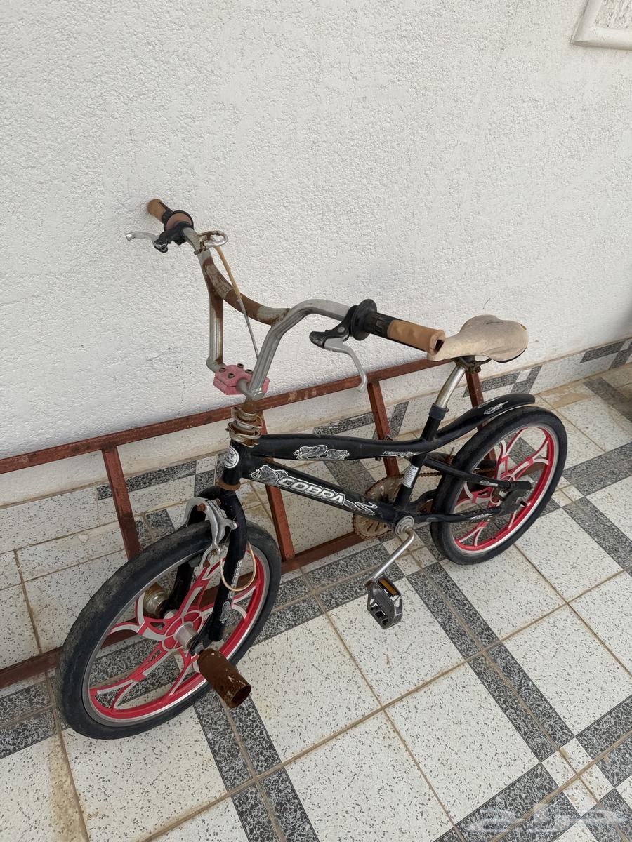 سيكل كوبرا اصلي64373742731139111