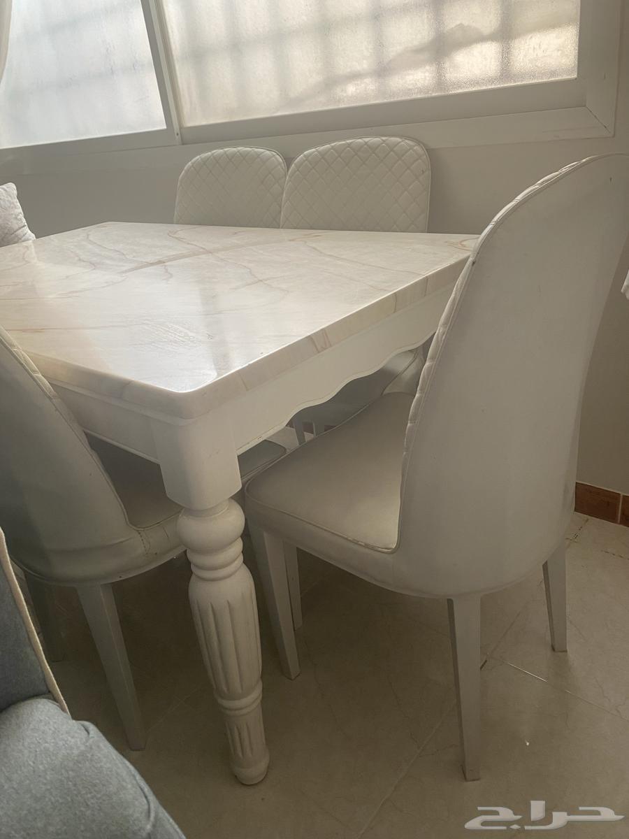 طوله طعام64363966064258114