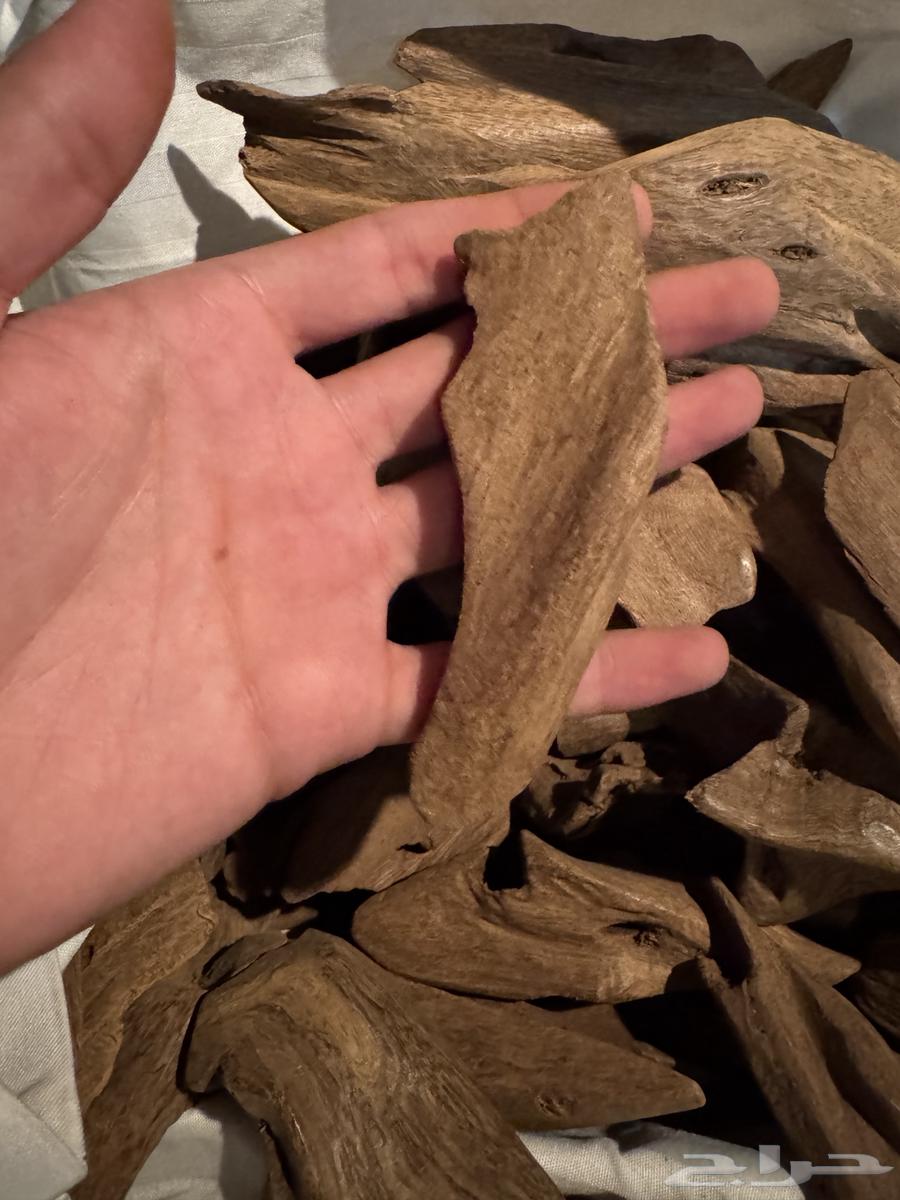 عود موروكي طبيعي دبل سوبر وتربل سوبر64376675013635114